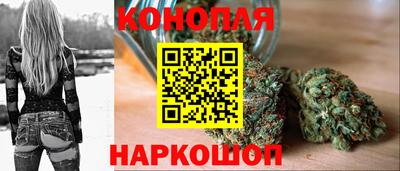мдпв Кандалакша