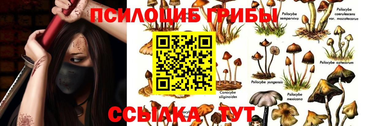 Кропоткин  Галлюциногенные грибы MAGIC MUSHROOMS  Вход с VPN 
